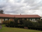 Roof Painting