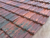 Terracotta roof partly cleaning